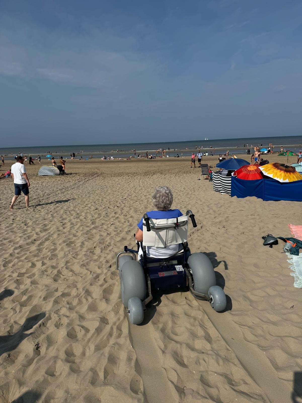 rolrups-2025 (1).jpg